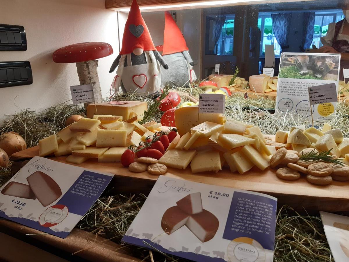 Hotel El Pilon Pozza di Fassa Bagian luar foto